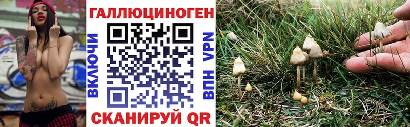 Галлюциногенные грибы MAGIC MUSHROOMS где продают Дмитриев